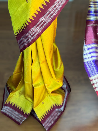 Mustard with brown combination Berhampuri Pure Silk Saree with Colorful double pallu